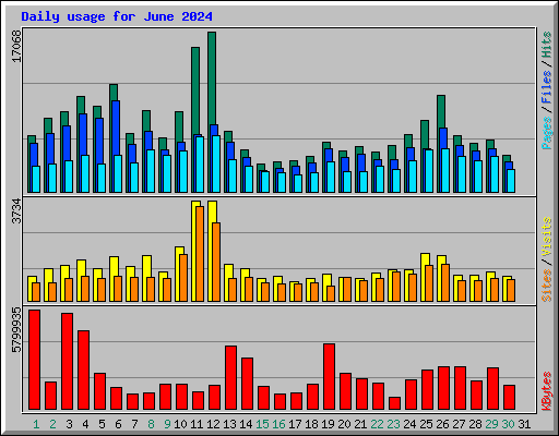 Daily usage for June 2024