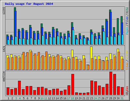 Daily usage for August 2024