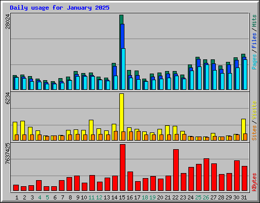 Daily usage for January 2025