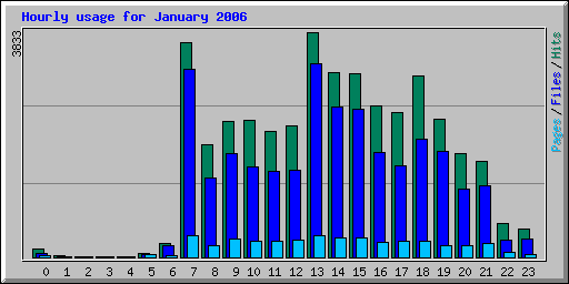 Hourly usage for January 2006