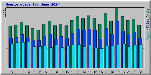 Hourly usage for June 2024