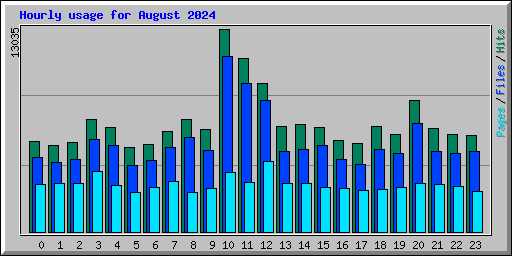 Hourly usage for August 2024