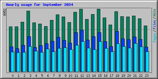 Hourly usage for September 2024