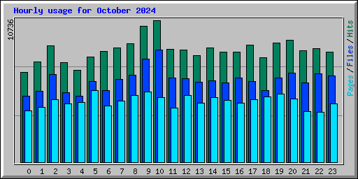 Hourly usage for October 2024