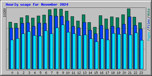 Hourly usage for November 2024