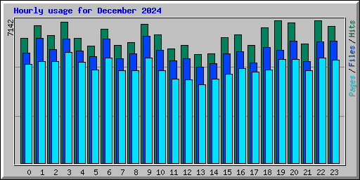 Hourly usage for December 2024