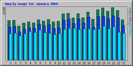 Hourly usage for January 2025