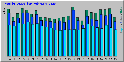 Hourly usage for February 2025